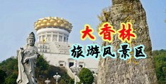 狠狠干骚逼视频中国浙江-绍兴大香林旅游风景区